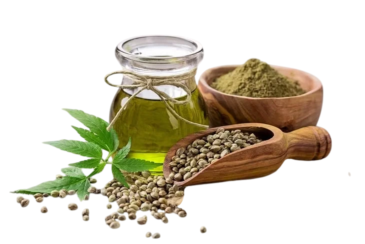 OUT! Power Respect – Oficjalny Sklep